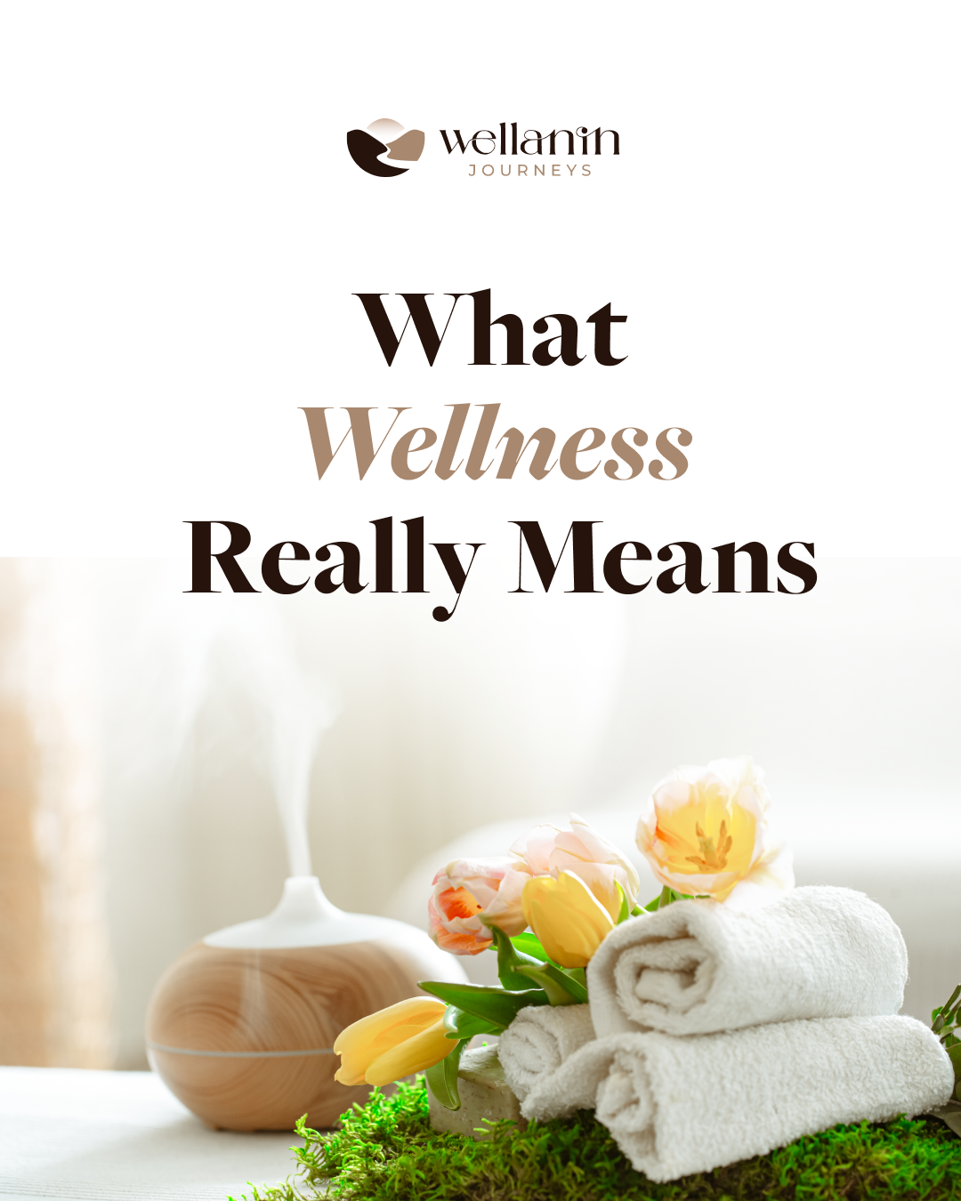 Wellanin Journeys wellness messaging, Batch 2 campaign.